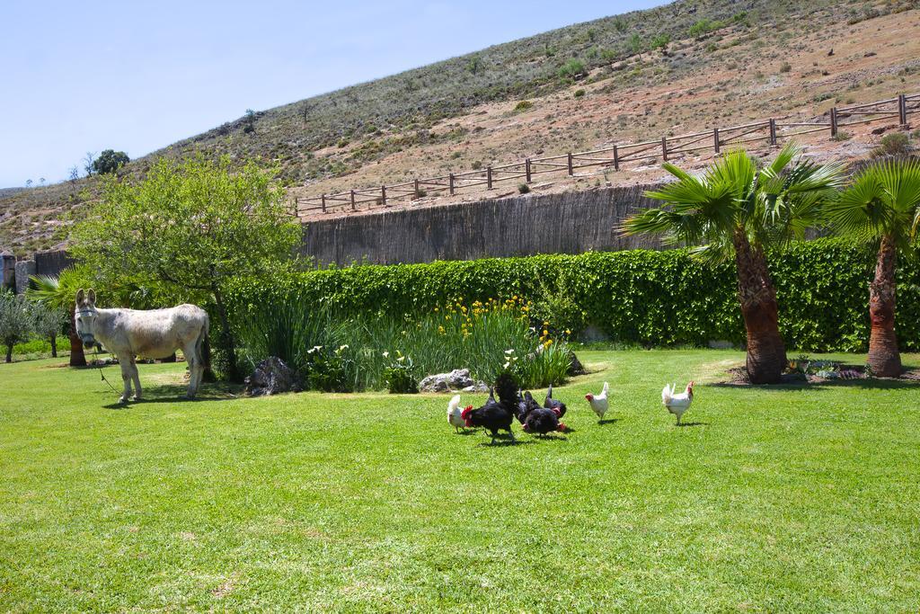 Al Agia - Los Molinos De Padul Exterior photo